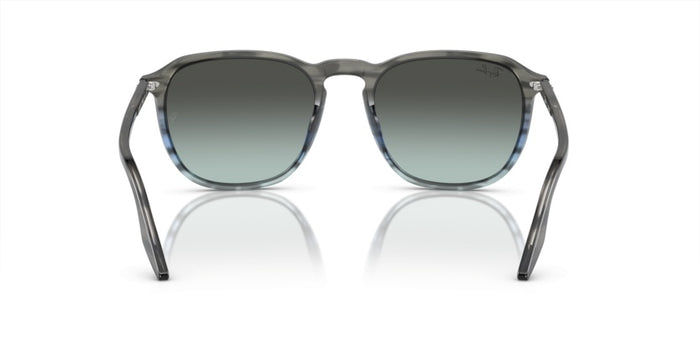 Gafas de Sol Ray-Ban RB2203 1391GK 55 20 — vista 5