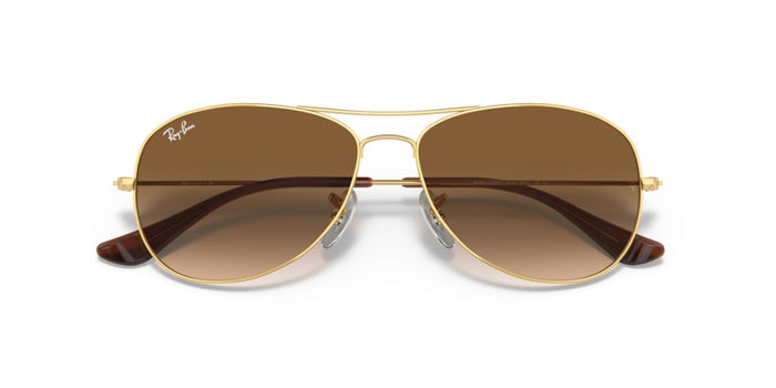 Sonnenbrillen Ray-Ban Cockpit RB3362 001/51 56 14 — vista 5