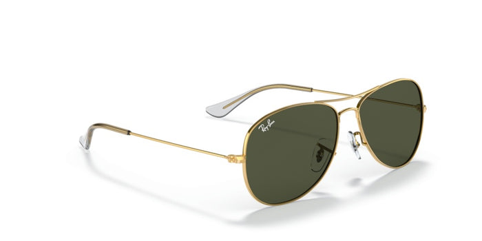 Sunglasses Ray-Ban Cockpit RB3362 001 59 14 — vista 5