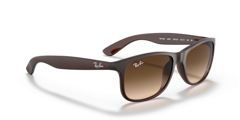 Gafas de Sol Ray-Ban Andy RB4202 607313 55 17