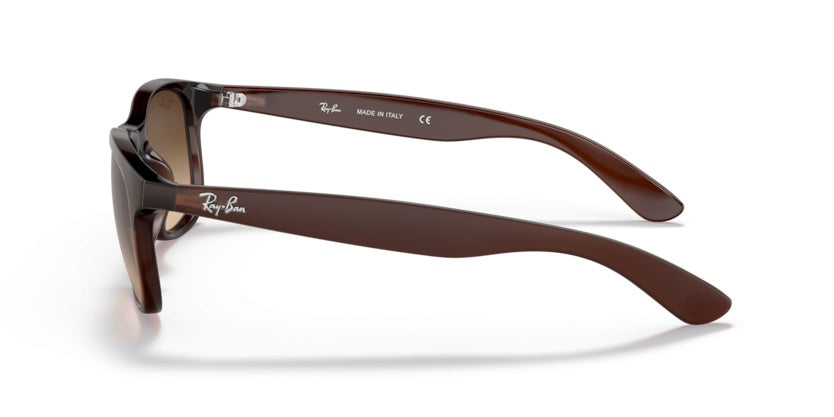 Gafas de Sol Ray-Ban Andy RB4202 607313 55 17