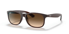 Sonnenbrillen Ray-Ban Andy RB4202 607313 55 17