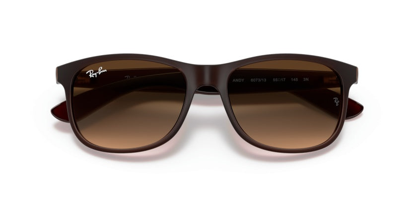 Gafas de Sol Ray-Ban Andy RB4202 607313 55 17