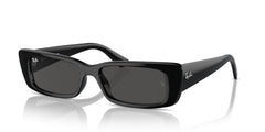 Sunglasses Ray-Ban Teru RB4425 667787 54 17