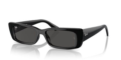 Sunglasses Ray-Ban Teru RB4425 667787 54 17