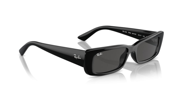 Sunglasses Ray-Ban Teru RB4425 667787 54 17 — vista 5