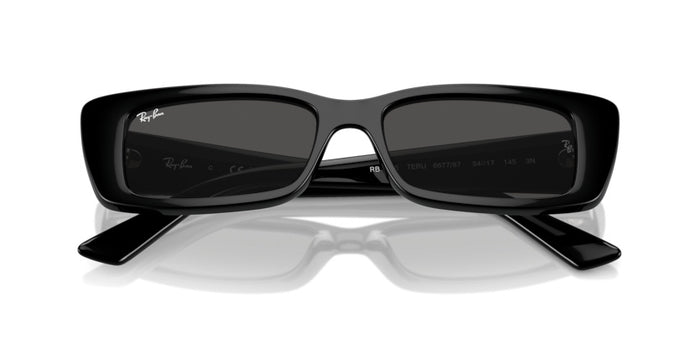 Sunglasses Ray-Ban Teru RB4425 667787 54 17 — vista 6
