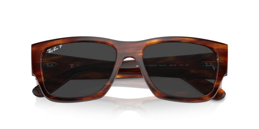 Gafas de Sol Ray-Ban Carlos RB0947 954/48 56 18