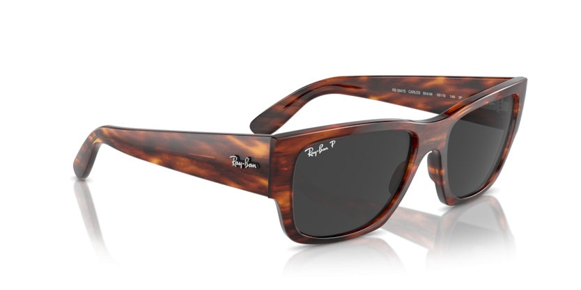 Gafas de Sol Ray-Ban Carlos RB0947 954/48 56 18