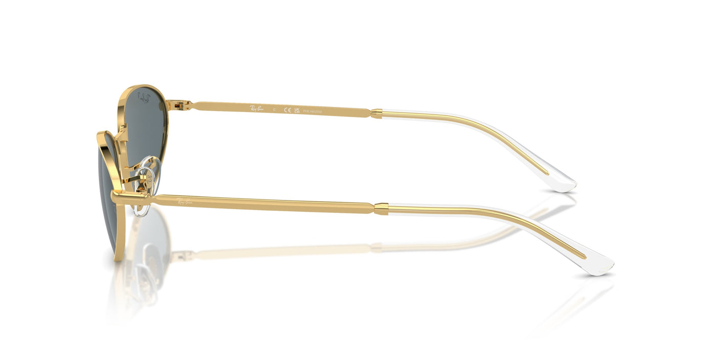 Gafas de Sol Ray-Ban RB3734 001/3R 59 18