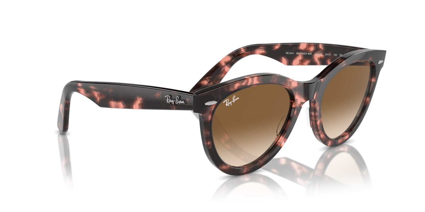 Gafas de Sol Ray-Ban Wayfarer Way RB2241 133451 54 21