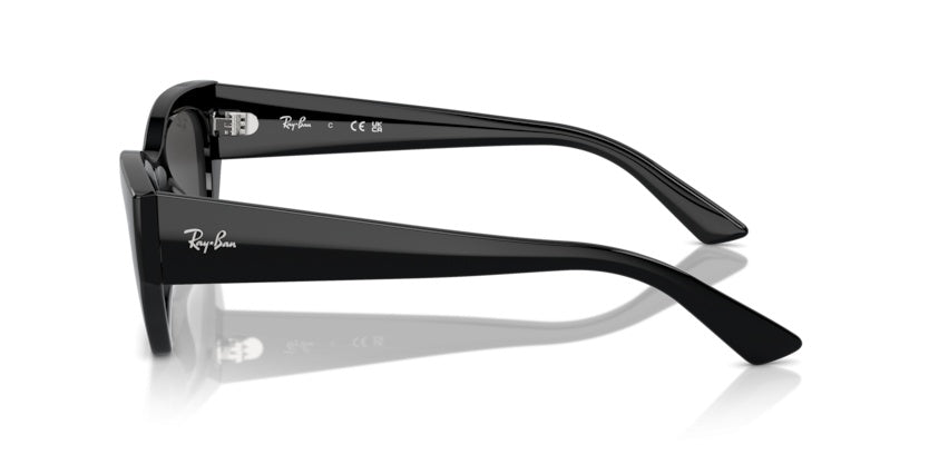 Gafas de Sol Ray-Ban Zena RB4430 667787 52 22