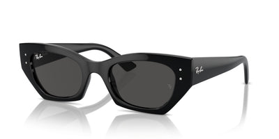 Sonnenbrillen Ray-Ban Zena RB4430 667787 52 22