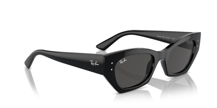 Sunglasses Ray-Ban RB4427 667787 49 20 — vista 5