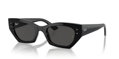 Sonnenbrillen Ray-Ban RB4427 667787 49 20