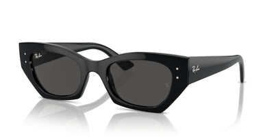 Sunglasses Ray-Ban RB4427 667787 49 20