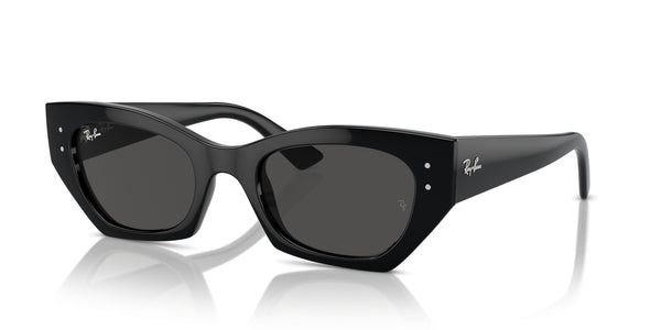 Gafas de Sol Ray-Ban RB4427 667787 49 20
