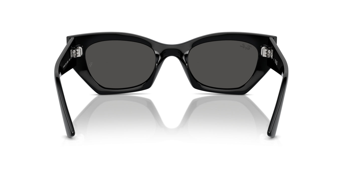 Gafas de Sol Ray-Ban RB4427 667787 49 20