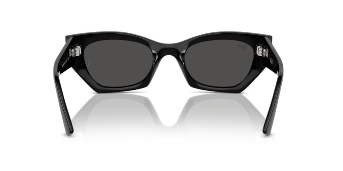 Sunglasses Ray-Ban RB4427 667787 49 20 — vista 6