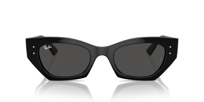 Sunglasses Ray-Ban RB4427 667787 49 20 — vista 2