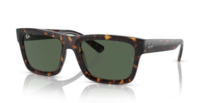Gafas de Sol Ray-Ban Warren RB4396 135971 57 20