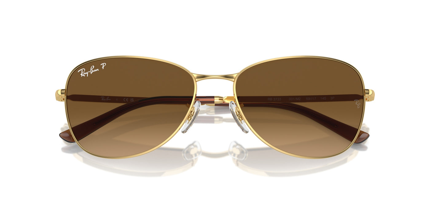 Gafas de Sol Ray-Ban RB3733 001/M2 56 17