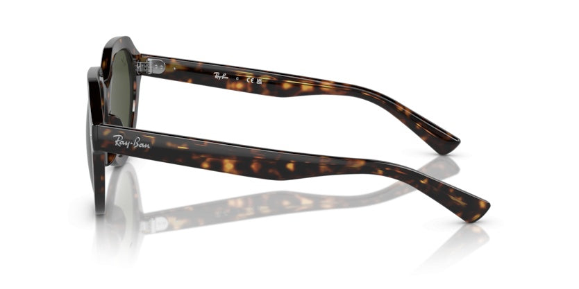 Gafas de Sol Ray-Ban Gina RB4399 902/31 53 21