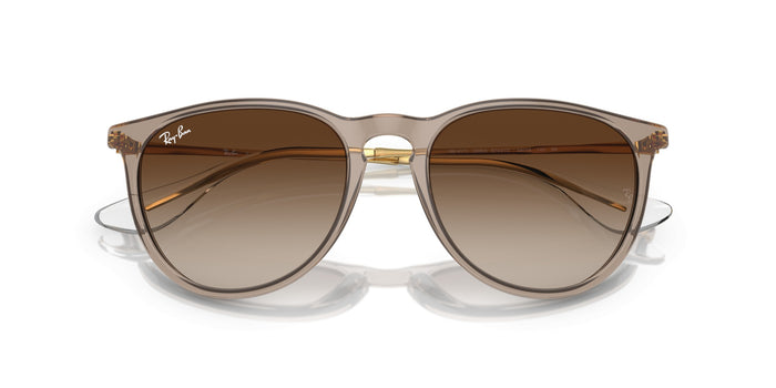 Sunglasses Ray-Ban Erika RB4171 674413 54 18 — vista 5