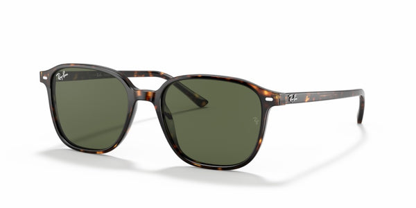 Gafas de Sol Ray-Ban Leonard RB2193 902/31 53 18