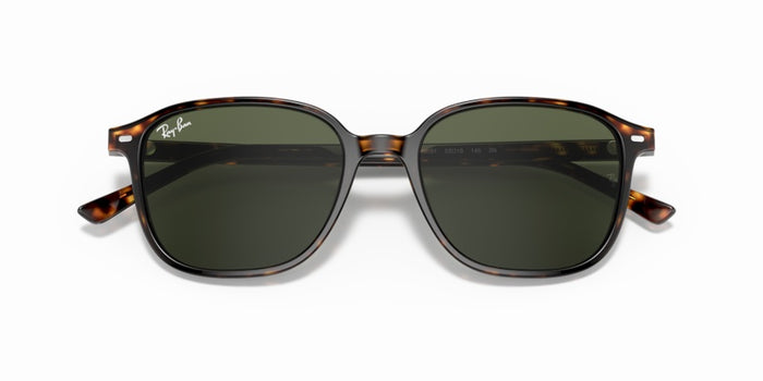 Sonnenbrillen Ray-Ban Leonard RB2193 902/31 53 18 — vista 5