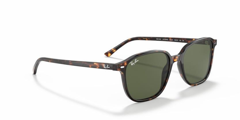 Gafas de Sol Ray-Ban Leonard RB2193 902/31 53 18