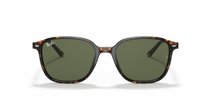 Sonnenbrillen Ray-Ban Leonard RB2193 902/31 53 18 — vista 2