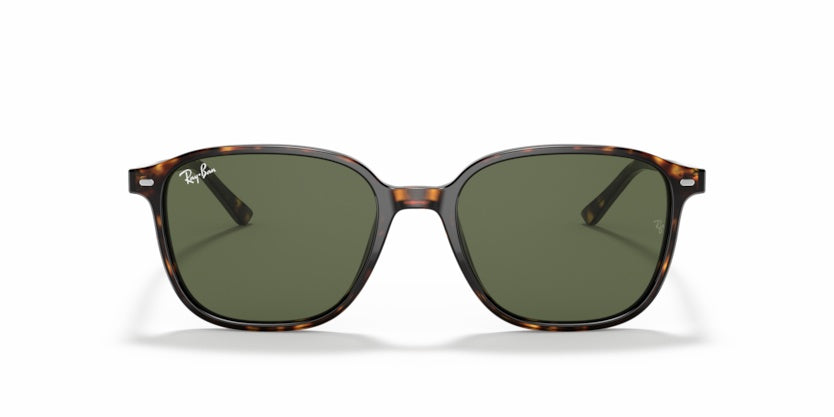 Gafas de Sol Ray-Ban Leonard RB2193 902/31 53 18