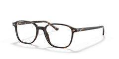 Gafas Graduadas Ray-Ban Leonard RX5393 2012 51 17