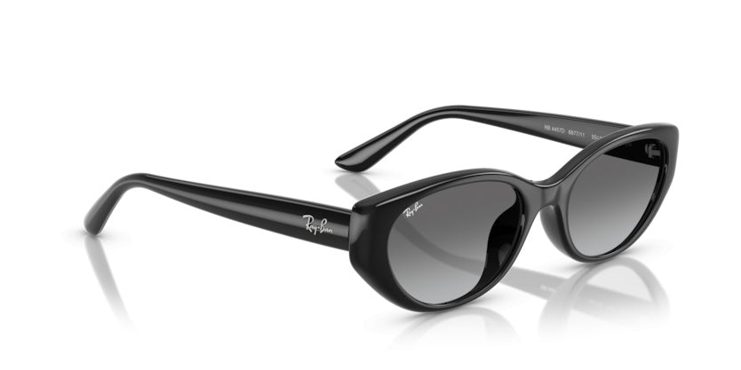 Gafas de Sol Ray-Ban RB4457D 667711 55 19