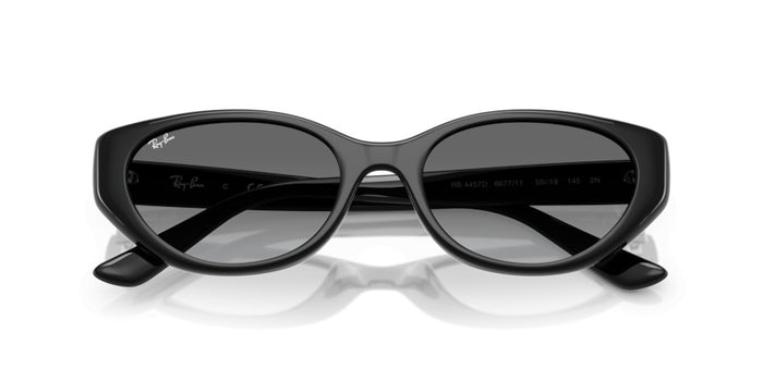Lunettes de Soleil Ray-Ban RB4457D 667711 55 19 — vista 6
