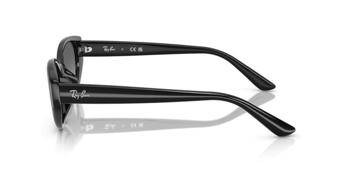 Lunettes de Soleil Ray-Ban RB4457D 667711 55 19 — vista 3