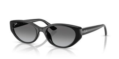 Ray-Ban Sunglasses RB4457D 667711 55 19