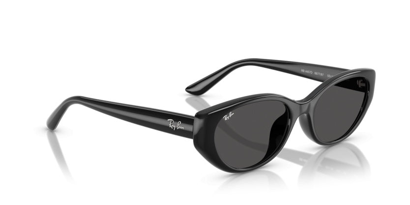 Gafas de Sol Ray-Ban RB4457D 667787 55 19
