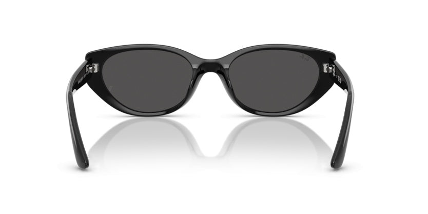 Gafas de Sol Ray-Ban RB4457D 667787 55 19