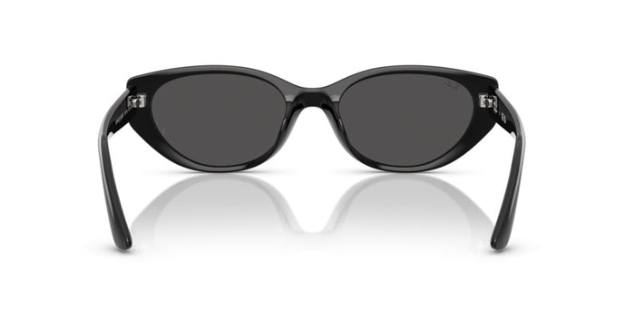 Солнцезащитные очки Ray-Ban RB4457D 667787 55 19 — vista 6