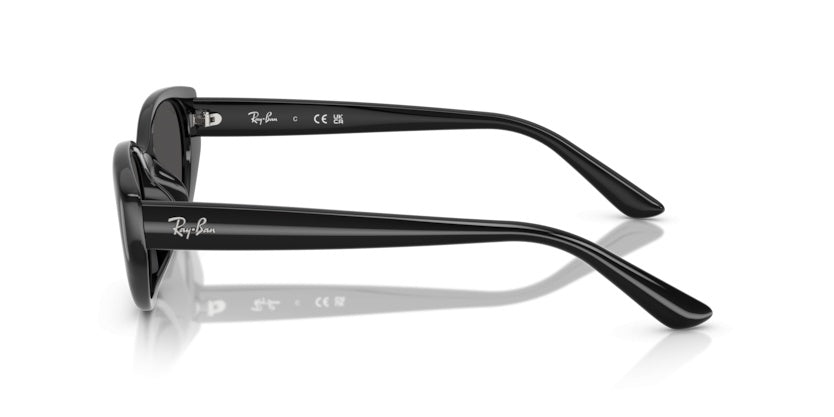 Gafas de Sol Ray-Ban RB4457D 667787 55 19