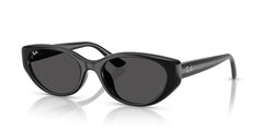 Sunglasses Ray-Ban RB4457D 667787 55 19