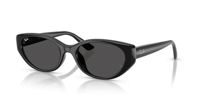 Ray-Ban Sunglasses RB4457D 667787 55 19
