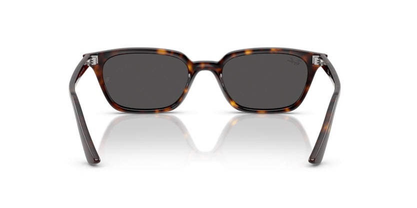 Gafas de Sol Ray-Ban RB4456 135987 53 19