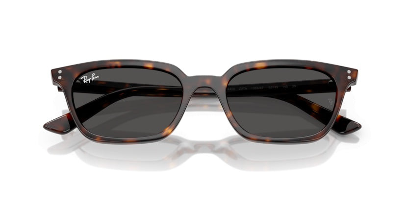 Gafas de Sol Ray-Ban RB4456 135987 53 19