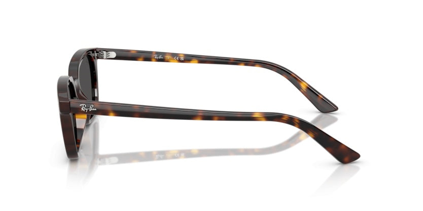 Gafas de Sol Ray-Ban RB4456 135987 53 19