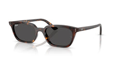 Gafas de Sol Ray-Ban RB4456 135987 53 19