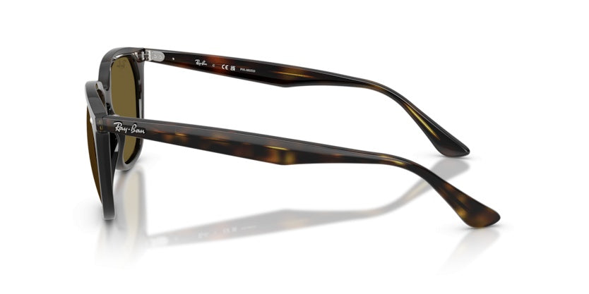 Gafas de Sol Ray-Ban RB4362 710/73 55 18