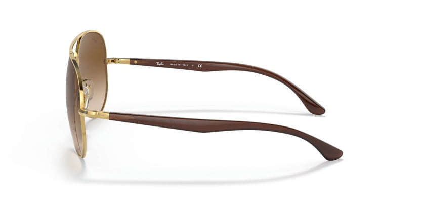Gafas de Sol Ray-Ban RB3675 001/51 58 14